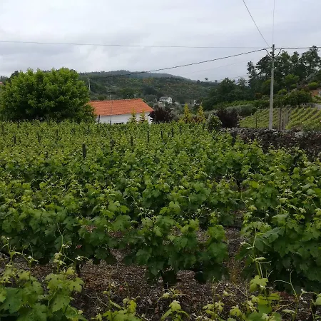 Casa Serra Da Lapa Viseu