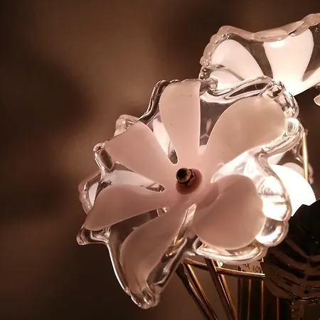 Pensjonat Casa Serra Da Lapa *