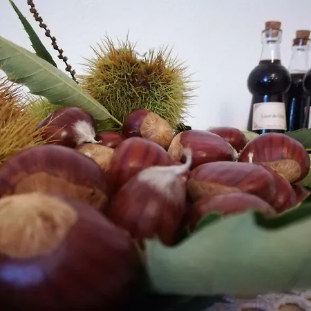 Casa Serra Da Lapa Viseu