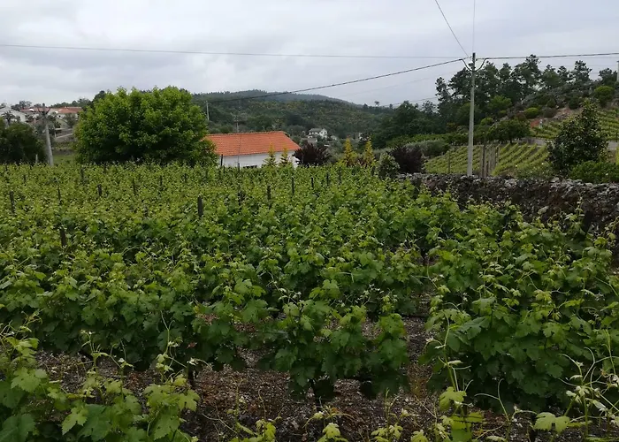 Casa Serra Da Lapa Viseu