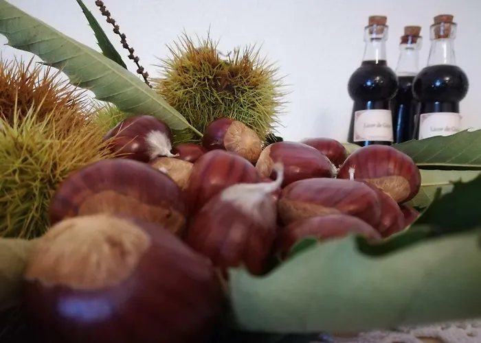 Casa Serra Da Lapa Viseu